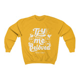 Hood N' Holy TMB Men's Crewneck Sweatshirt